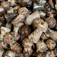 Load image into Gallery viewer, Fascia Jasper Mini Mushrooms