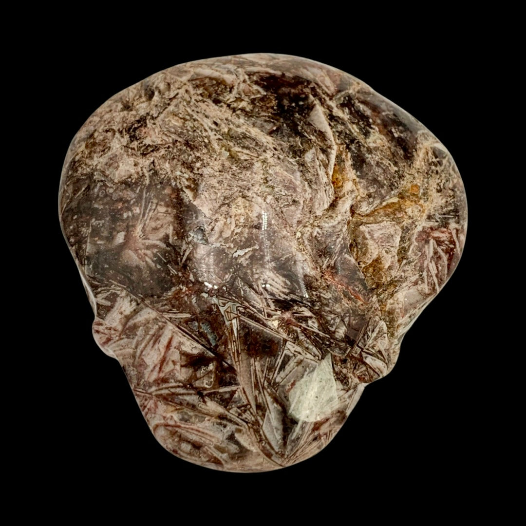 Fascia Jasper Magical Child Palmstone Skull Carved by Leandro De Souza