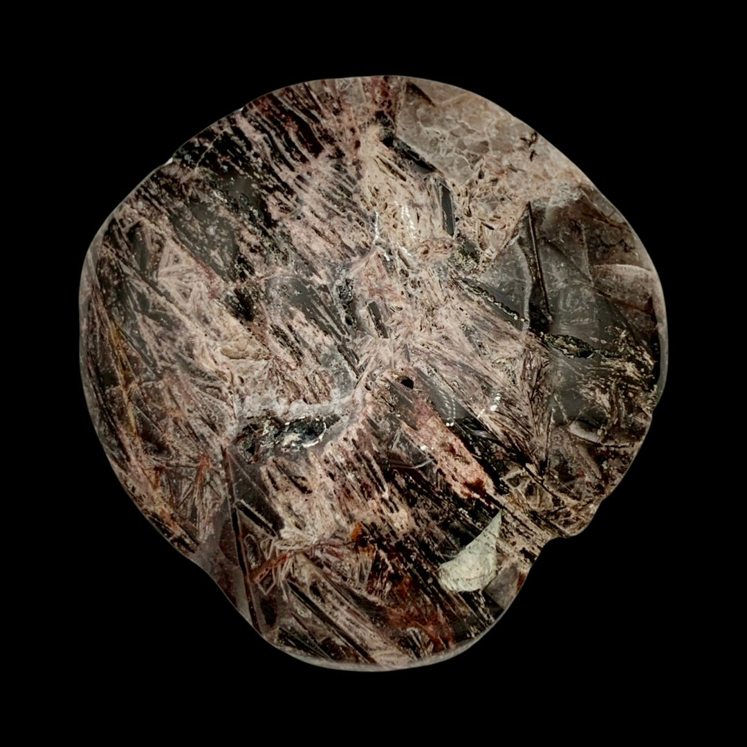 Fascia Jasper Star Being Palmstone Skull Carved by Leandro De Souza