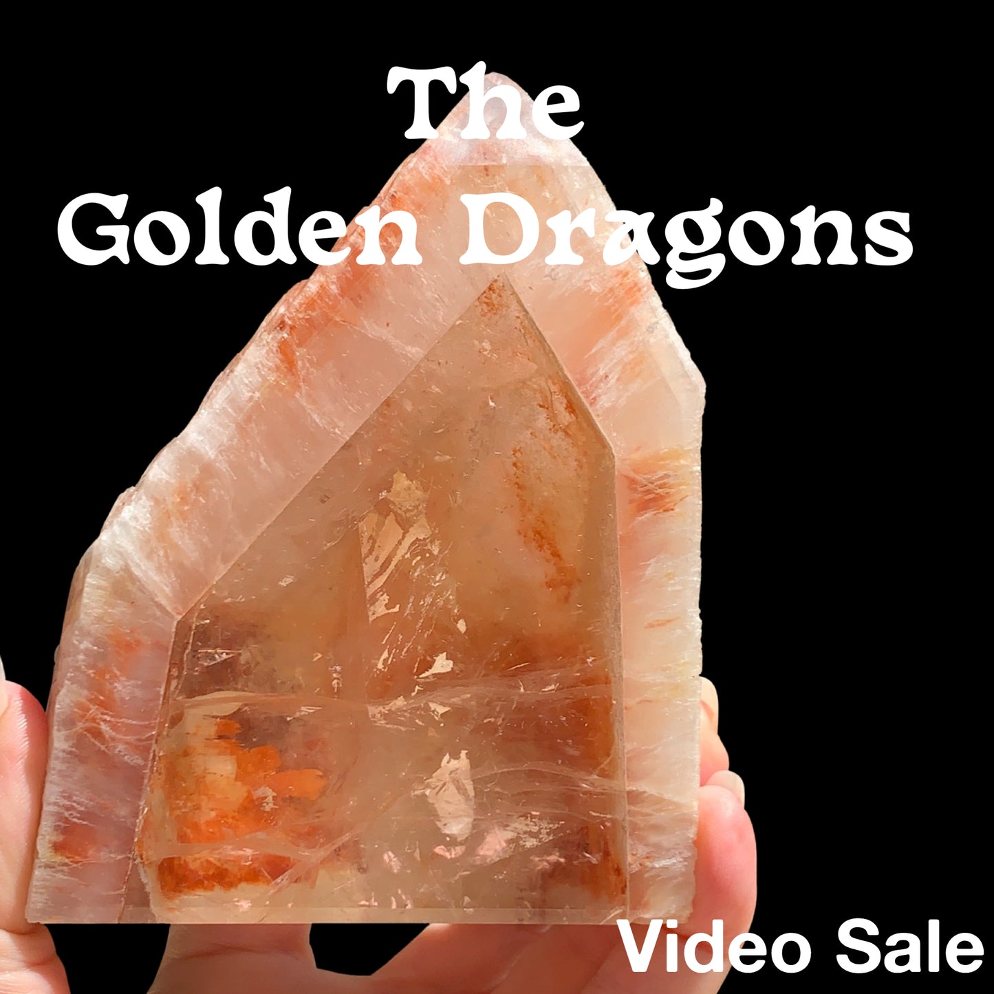 The Golden Dragons