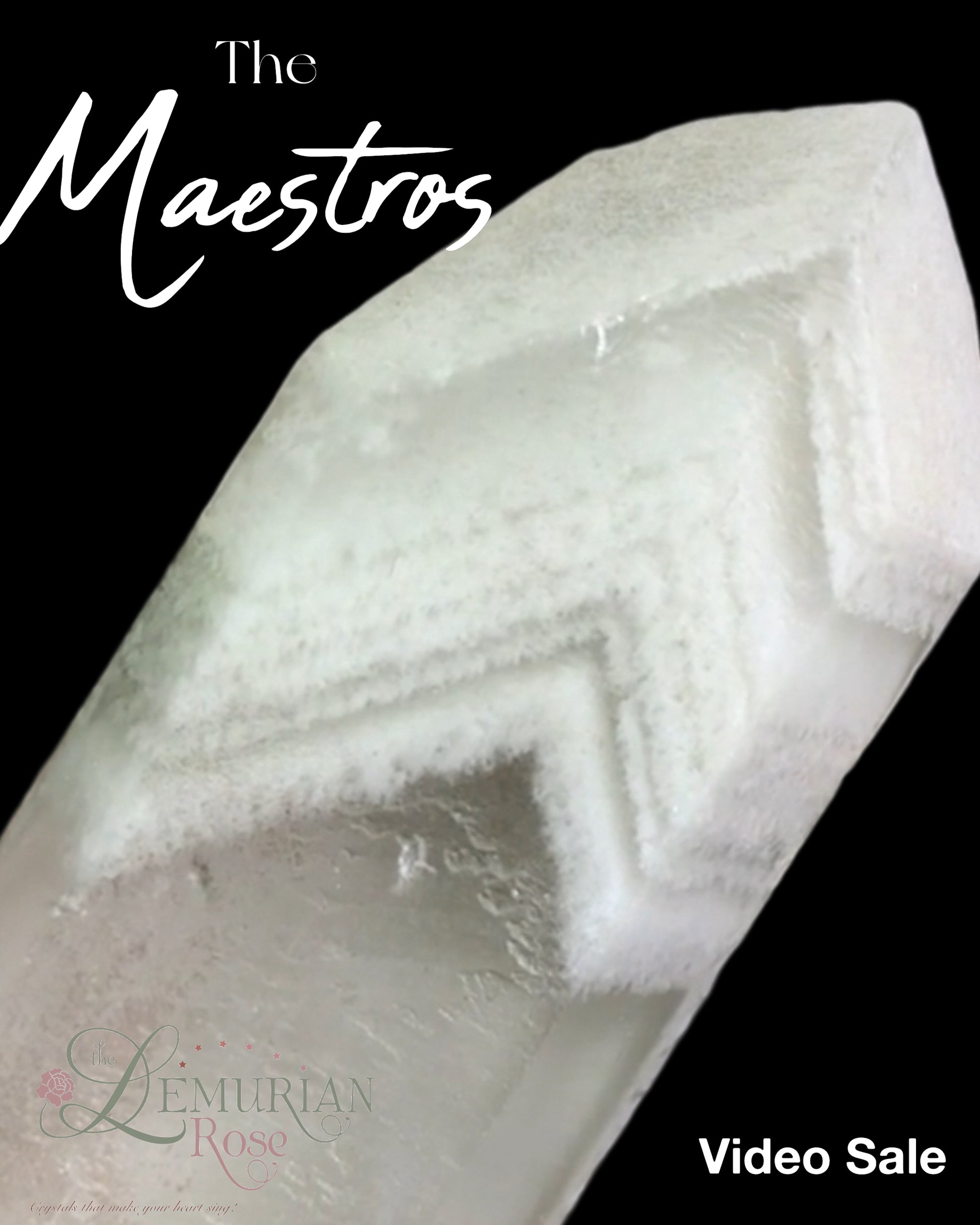 Maestro Video Sale #1