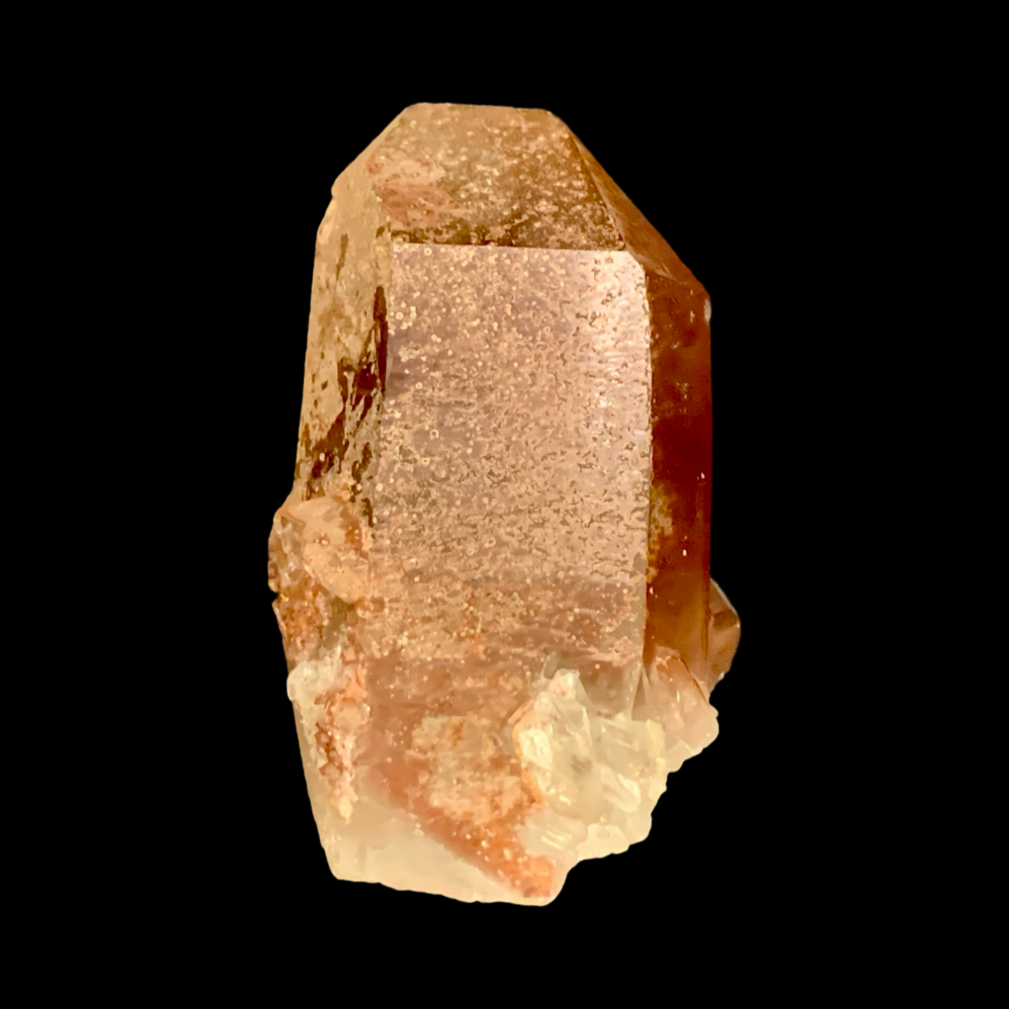 Tamarind Lemurian