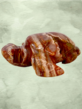 Load image into Gallery viewer, Fascia Jasper Mini Turtles