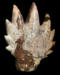 Load image into Gallery viewer, Leandro De Souza 100#1 Fascia Jasper Dragon "Drakon"