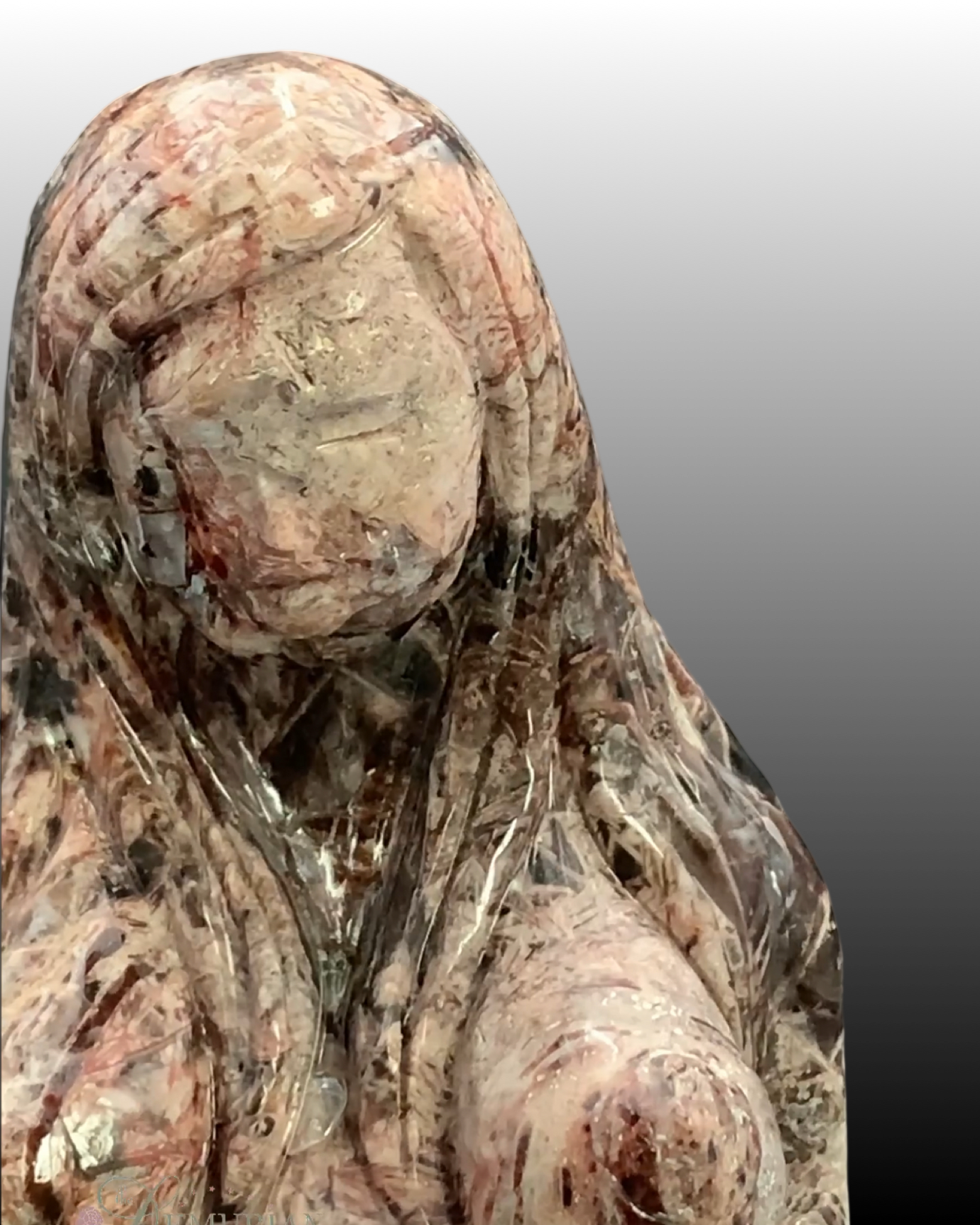 Leandro De Souza Fascia Jasper Gaia-Earth Mother