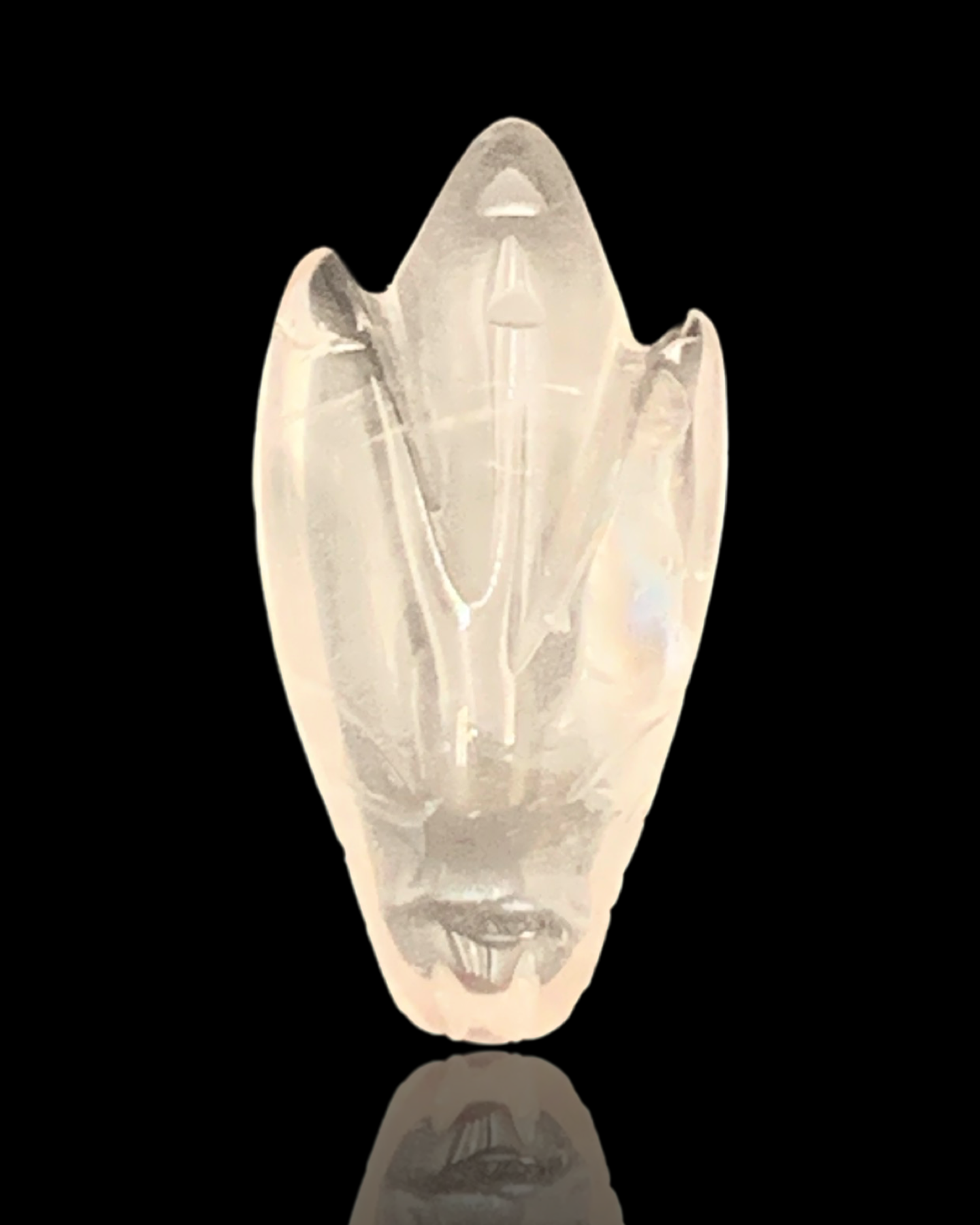 Leandro De Souza Morganite Mini Dragon