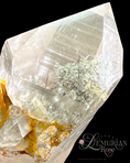 Load image into Gallery viewer, AAA Lemurians with Rutile & Tourmaline Inclusions