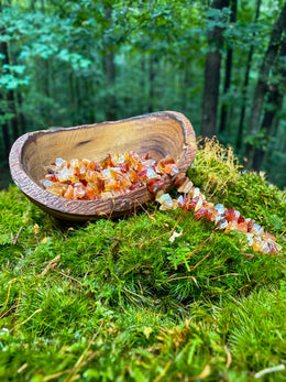Load image into Gallery viewer, Carnelian Long Chip Necklace
