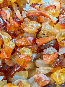 Load image into Gallery viewer, Carnelian Long Chip Necklace