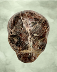 Load image into Gallery viewer, Fascia Jasper Magical Child Palmstone Skull Carved by Leandro De Souza