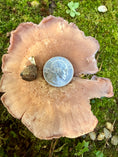 Load image into Gallery viewer, Fascia Jasper Tumble Pendant