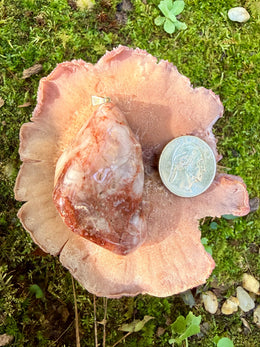 Load image into Gallery viewer, Fascia Jasper Tumble Pendant