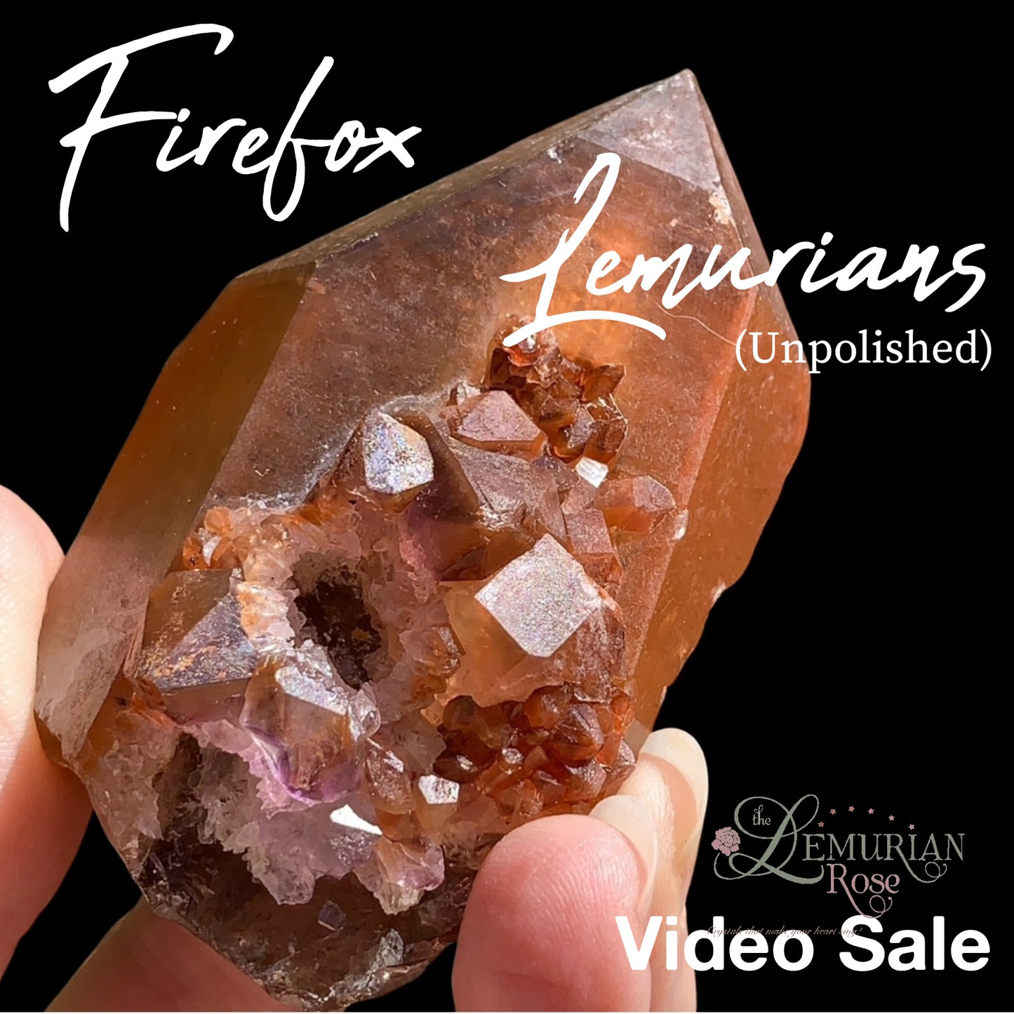 Natural Firefox Lemurians