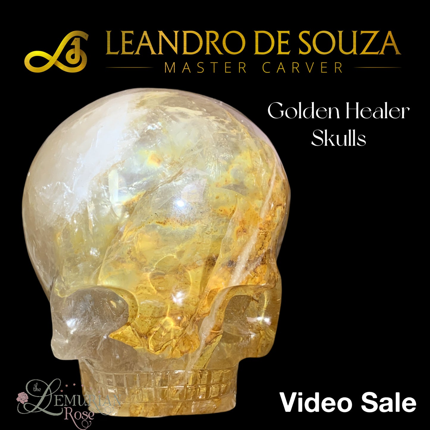 Leandro De Souza Golden Healer Magical Child Skulls-Video Sale