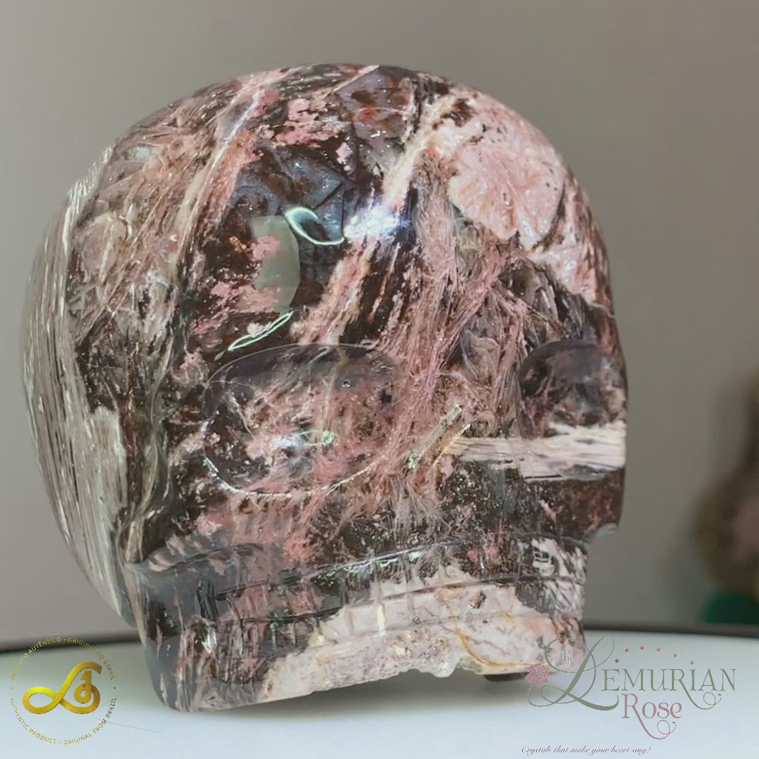 Fascia Jasper Magical Child Skull Carved by Leandro De Souza