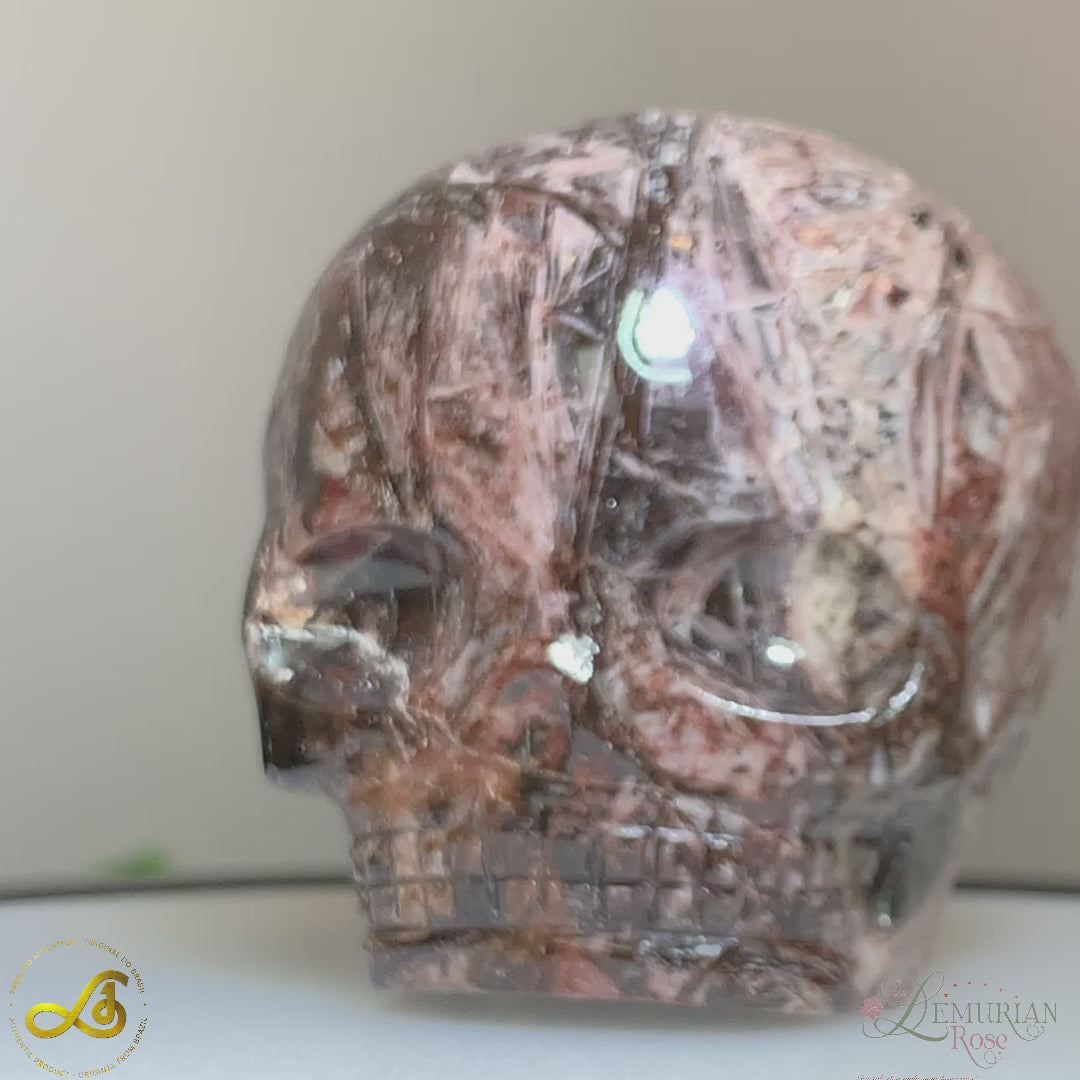 Fascia Jasper Magical Child Skull Carved by Leandro De Souza
