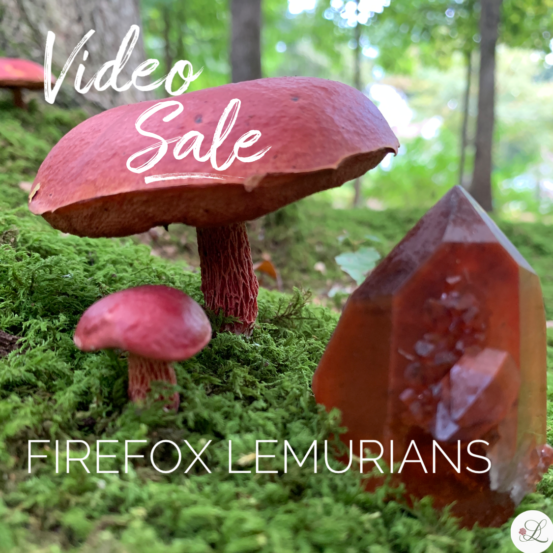 Firefox Lemurians-New Collection!