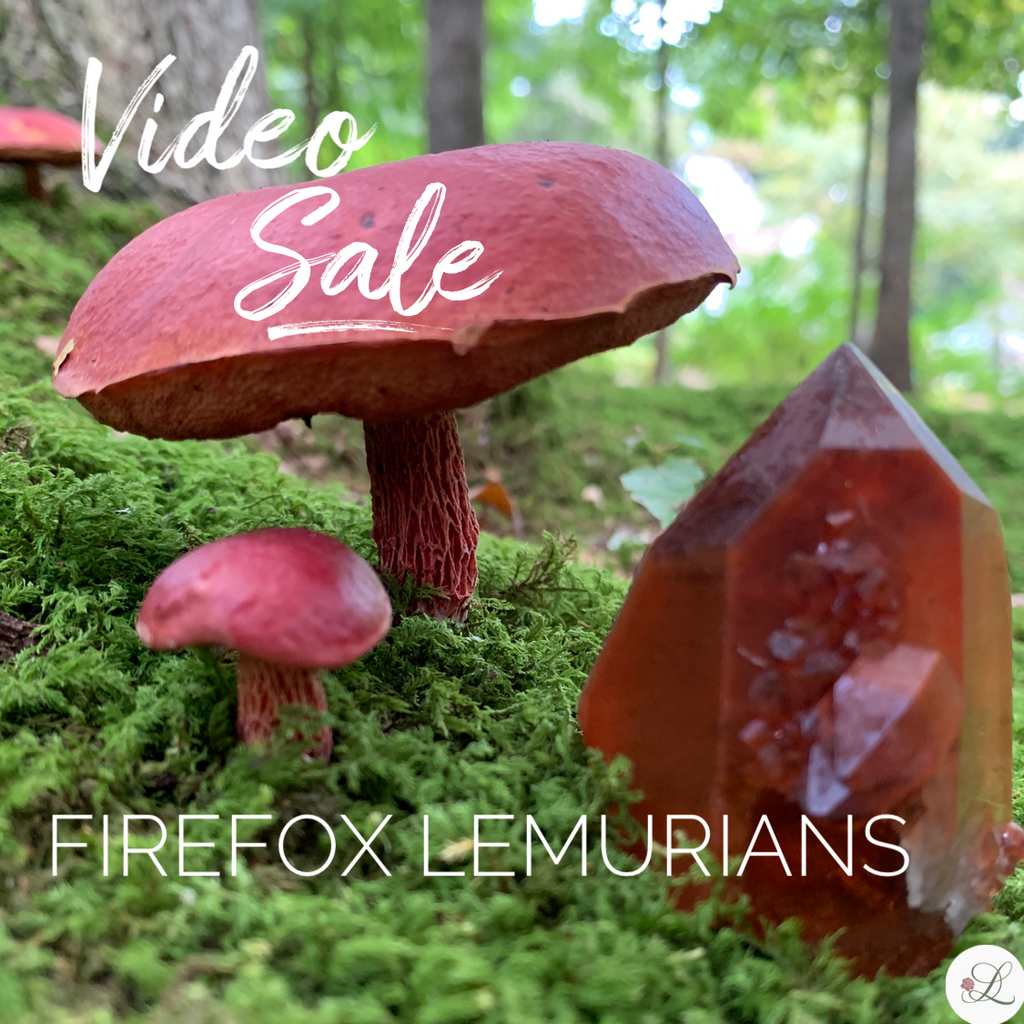 Firefox Lemurians-New Collection!