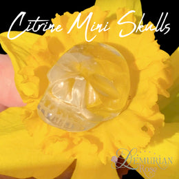 Load image into Gallery viewer, Citrine Mini Skulls