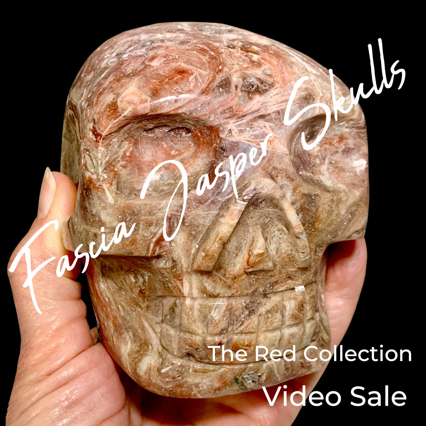 Fascia Jasper Skulls-The Red Collection