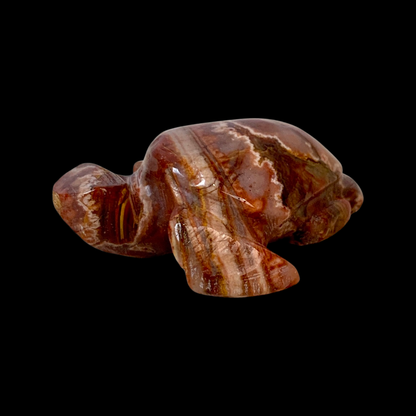 Fascia Jasper Mini Turtles