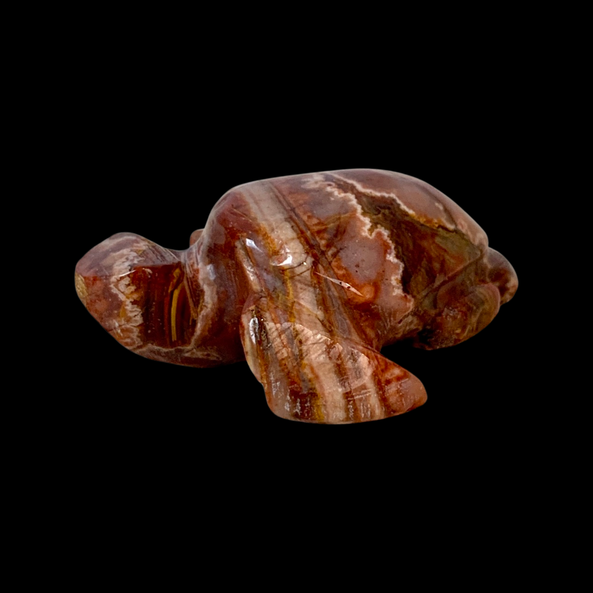 Fascia Jasper Mini Turtles