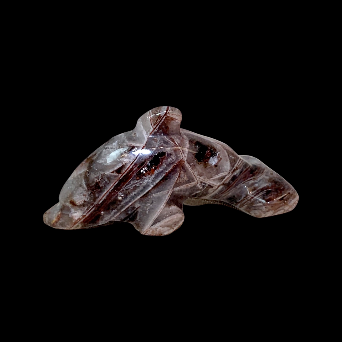 Fascia Jasper Mini Dolphins