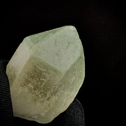 Load image into Gallery viewer, Lemurians-Green Phantom