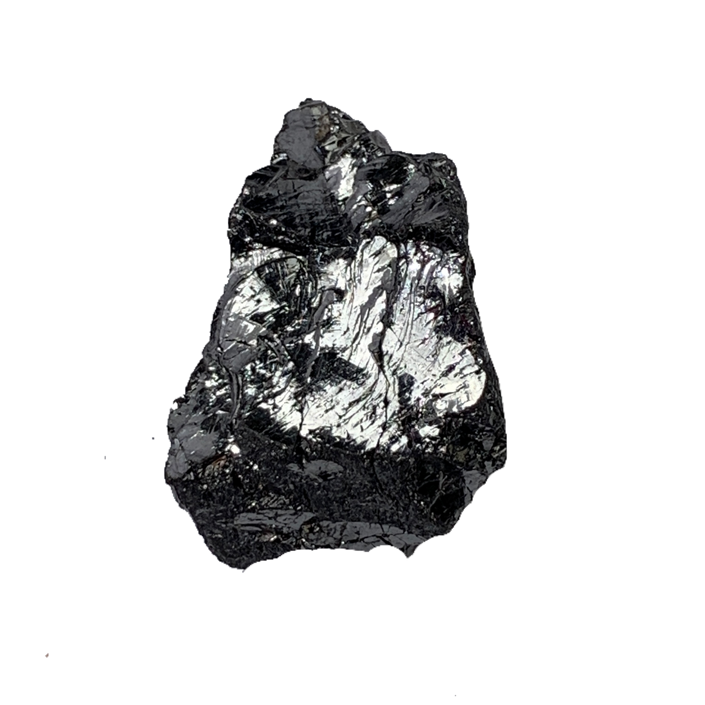 Elite Shungite Specimen