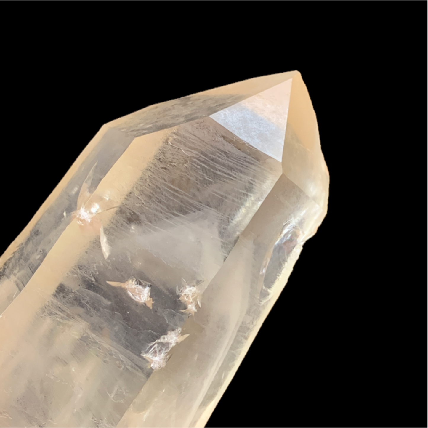 Natural Phantom Lemurian- Watcher