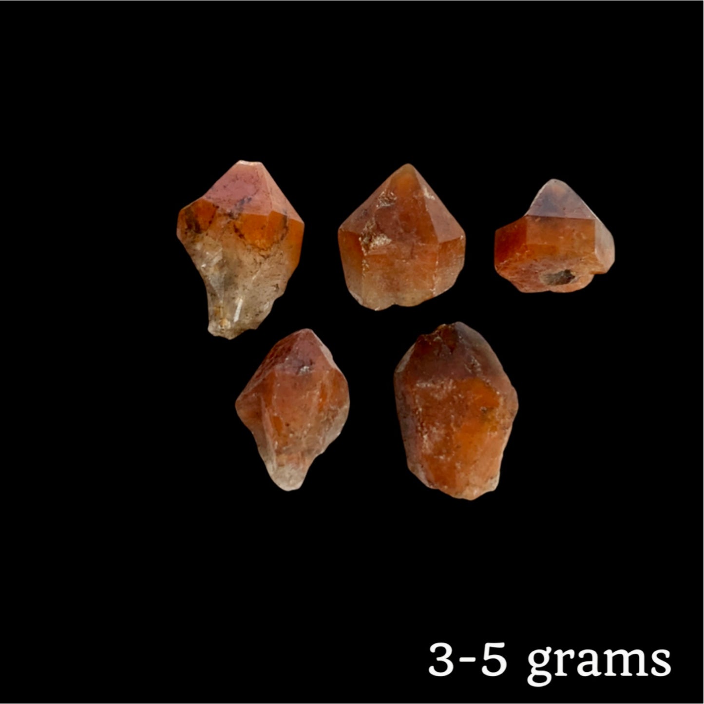 Dreamcoat Lemurians, Red -small