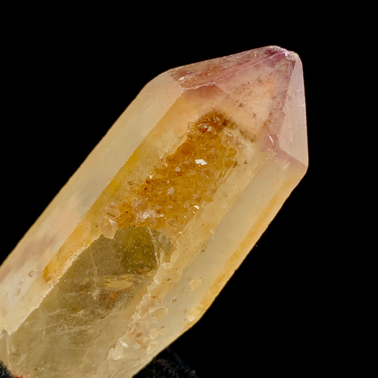 Unity Lemurian with Manifestation
