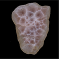 Load image into Gallery viewer, Pink Natrolite