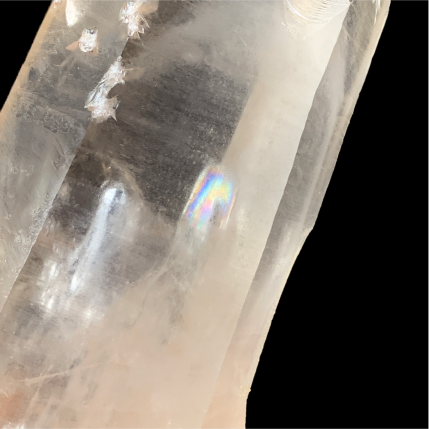 Natural Phantom Lemurian- Watcher