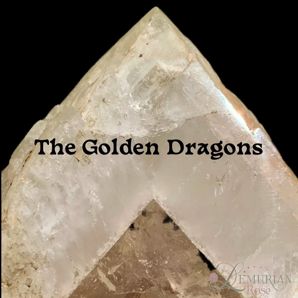 The Golden Dragons