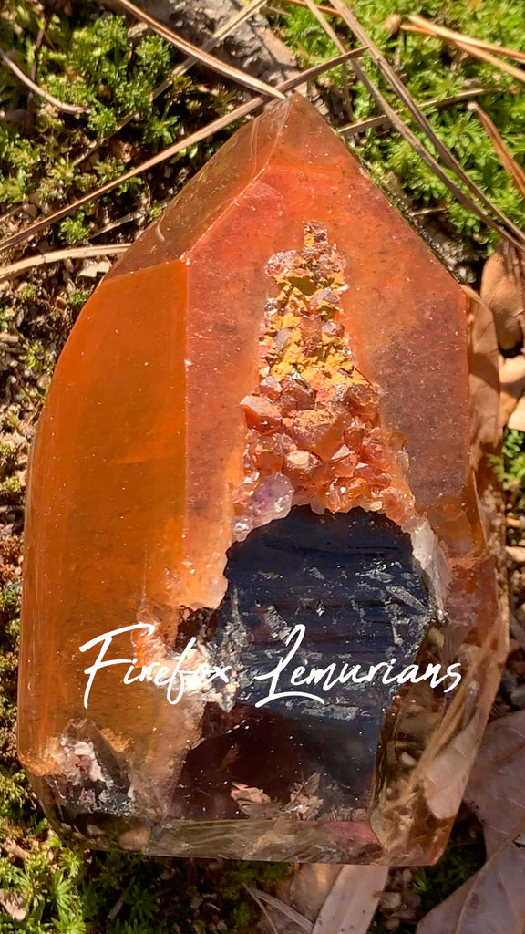 Firefox Lemurians part 2-Metaphysical Properties – The Lemurian Rose