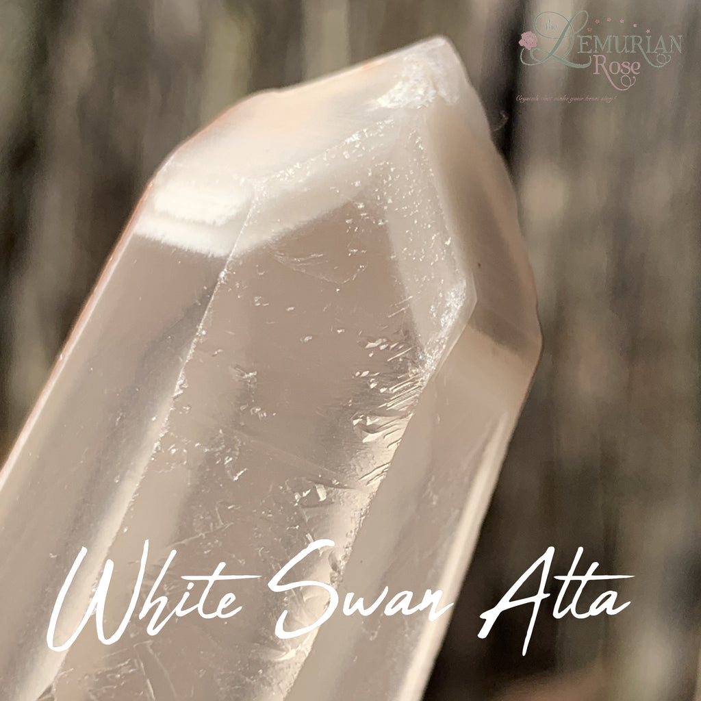 White Swan Alta/Lily Pad Quartz