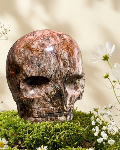 Fascia Jasper Magical Child Skull Carved by Leandro De Souza