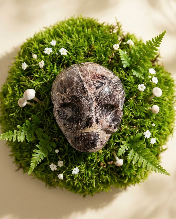 Fascia Jasper Magical Child Palmstone Skull Carved by Leandro De Souza