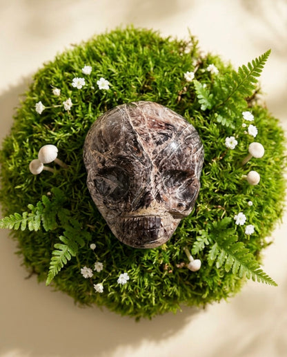 Fascia Jasper Magical Child Palmstone Skull Carved by Leandro De Souza