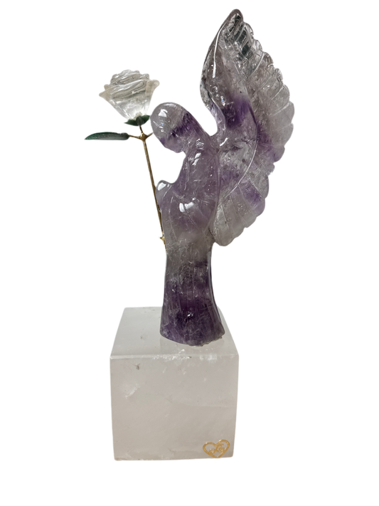Leandro De Souza Angel Rose Set A