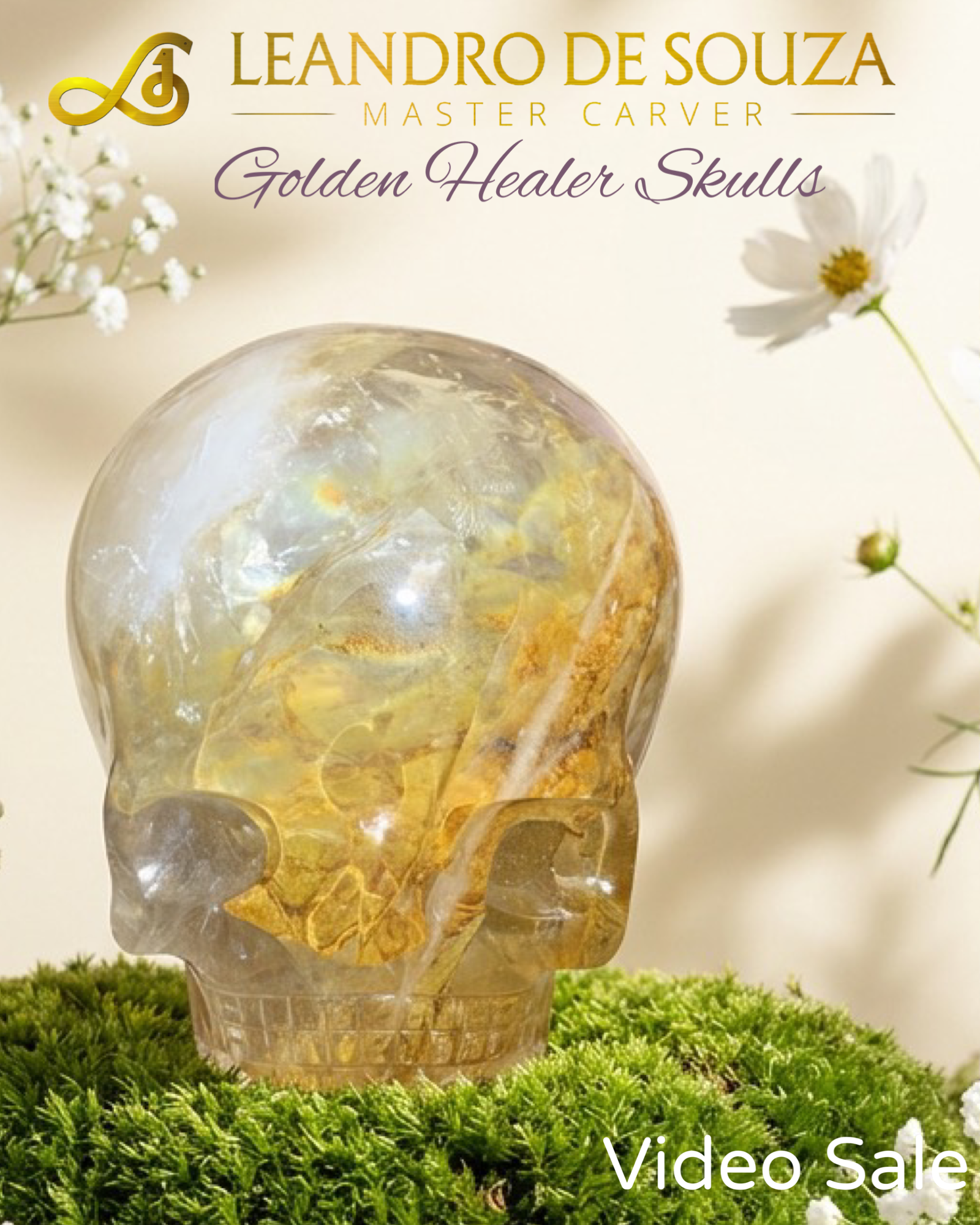 Leandro De Souza Golden Healer Magical Child Skulls-Video Sale