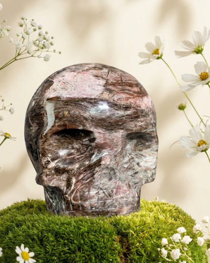 Fascia Jasper Magical Child Skull Carved by Leandro De Souza