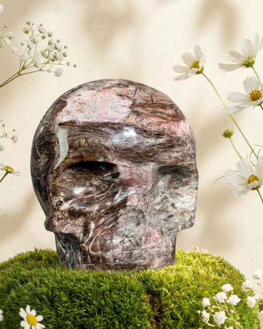 Fascia Jasper Magical Child Skull Carved by Leandro De Souza
