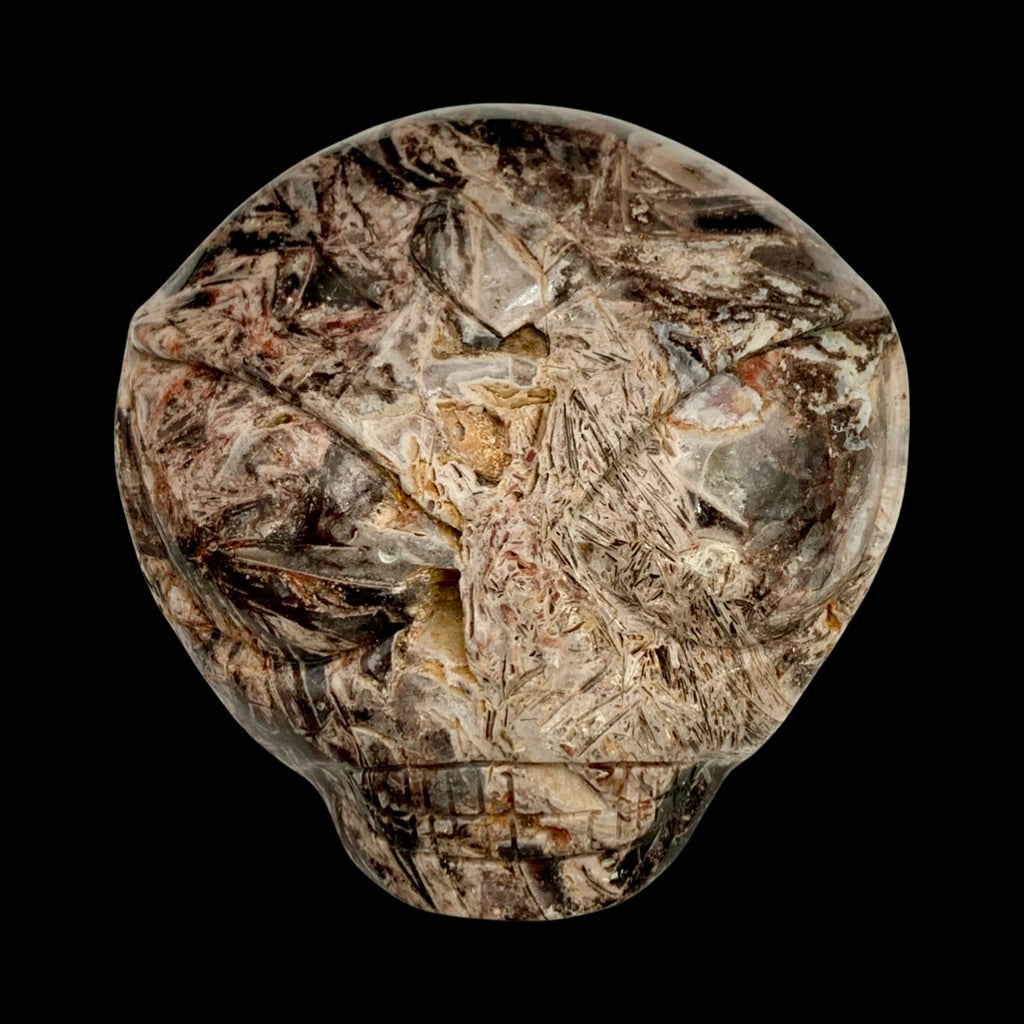 Fascia Jasper Star Being Palmstone Skull Carved by Leandro De Souza