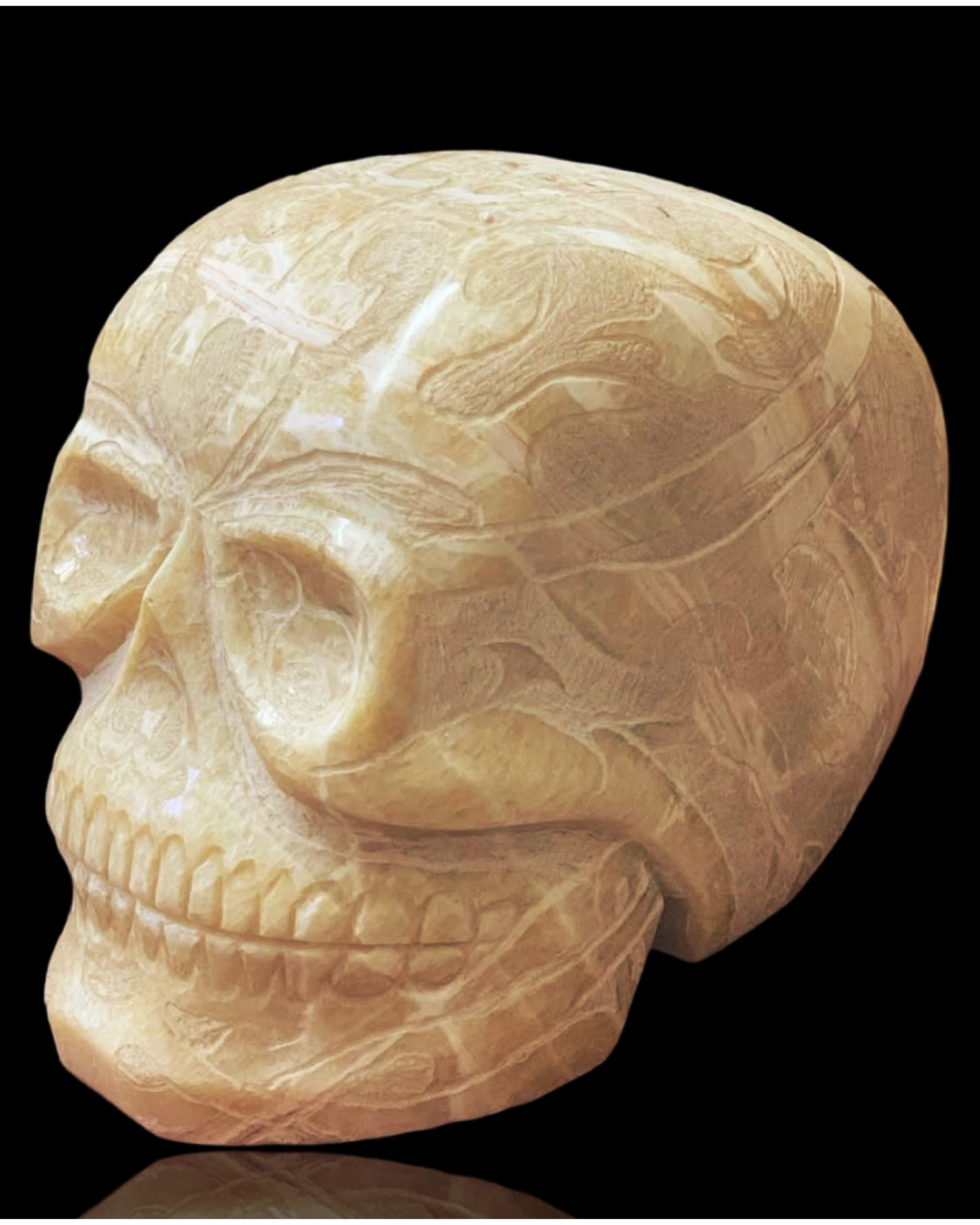 Massive Alabaster Skull “Geb” by Mody Ra