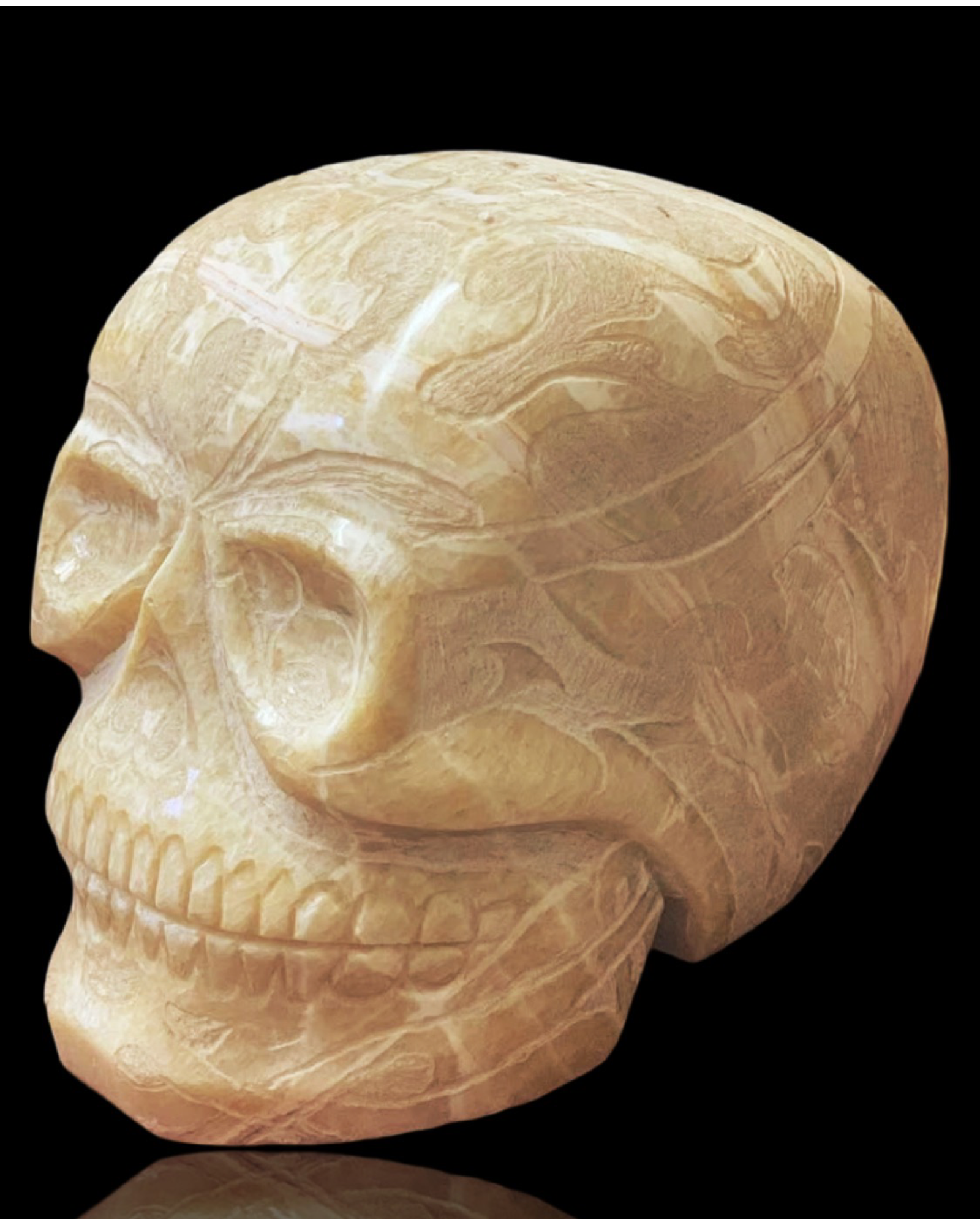 Massive Alabaster Skull “Geb” by Mody Ra