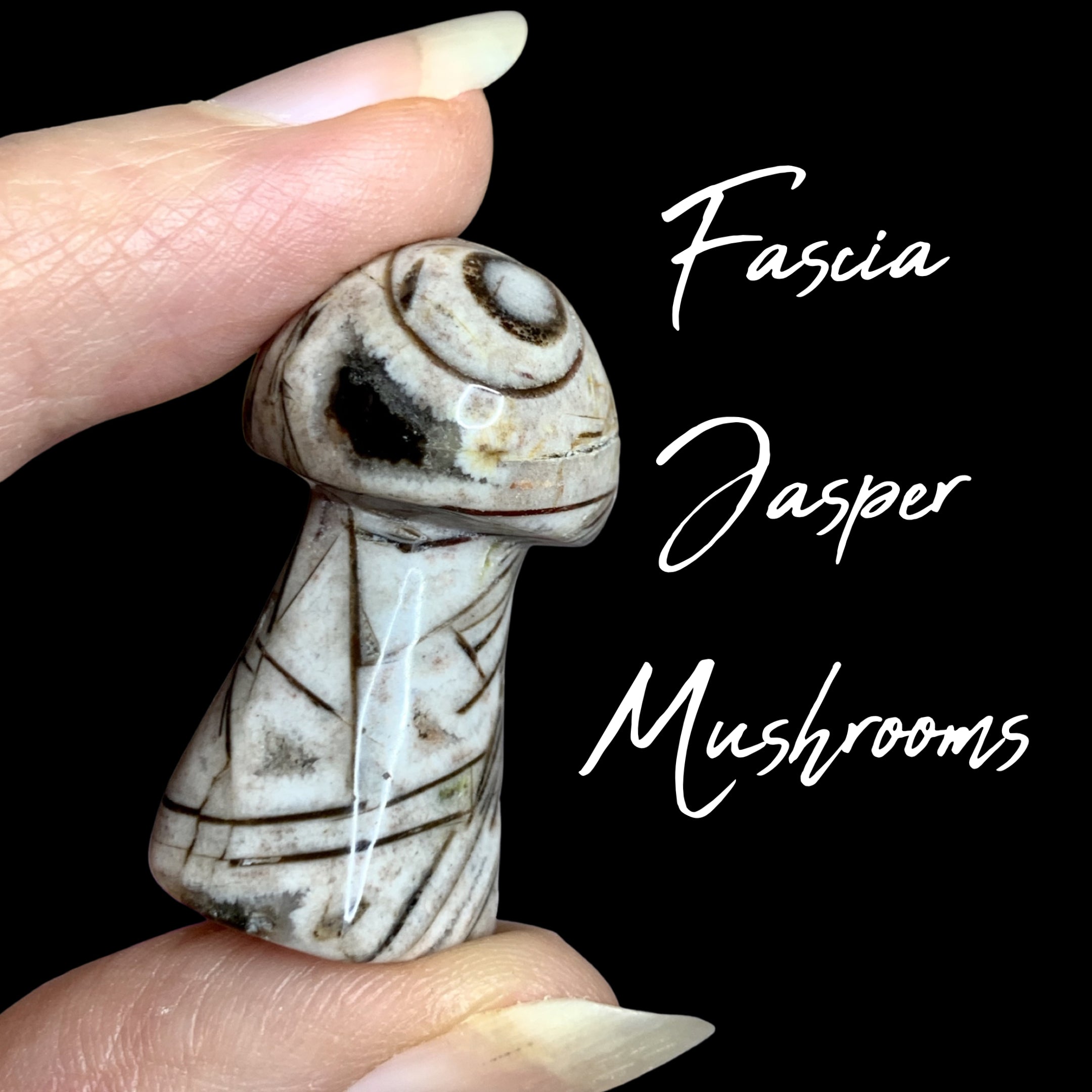 Fascia Jasper Mini Mushrooms