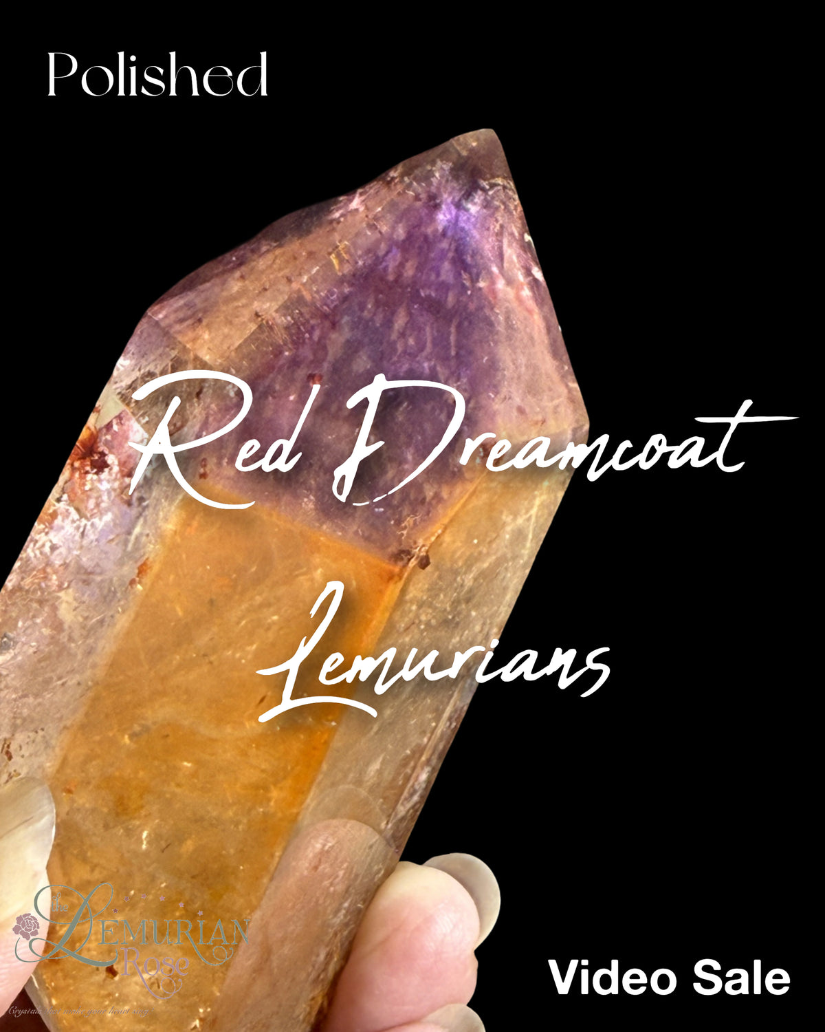 Red Dreamcoat Lemurians-Polished