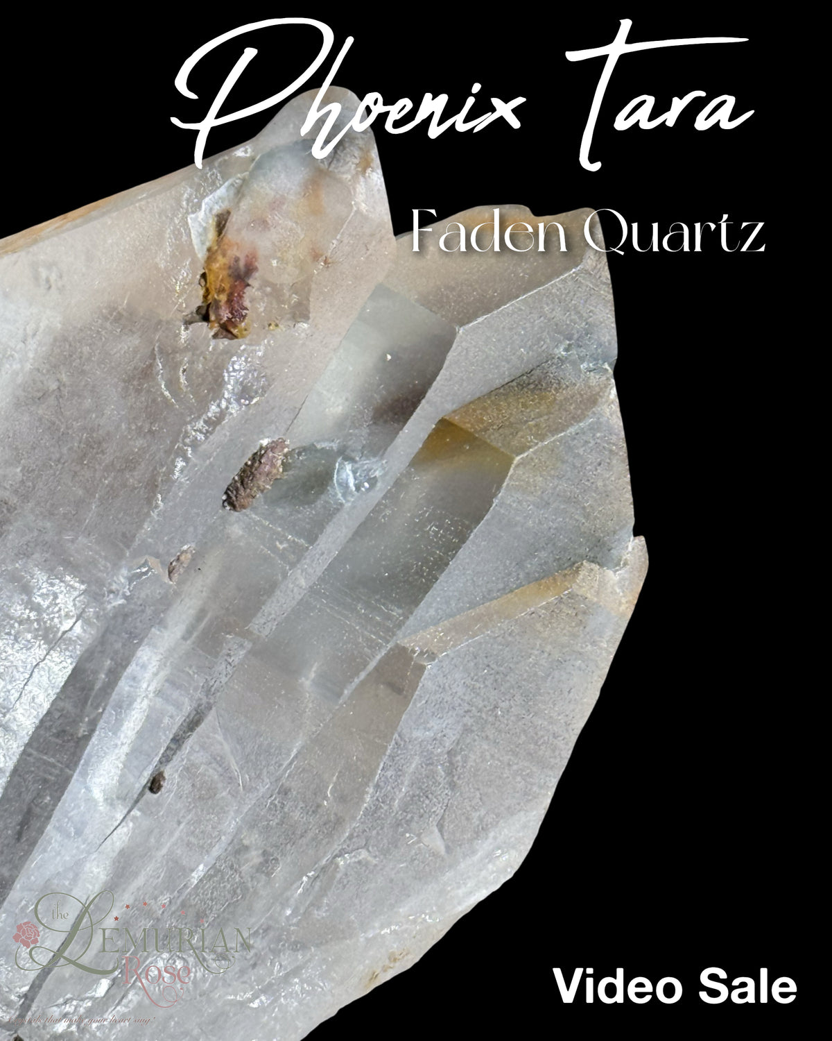 Phoenix Tara Faden Quartz Video Sale